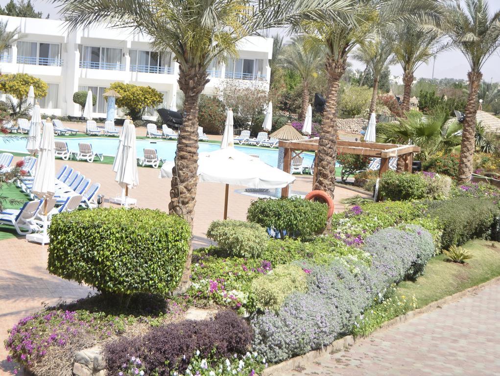 Queen Sharm Aqua Park Hotel Esterno foto