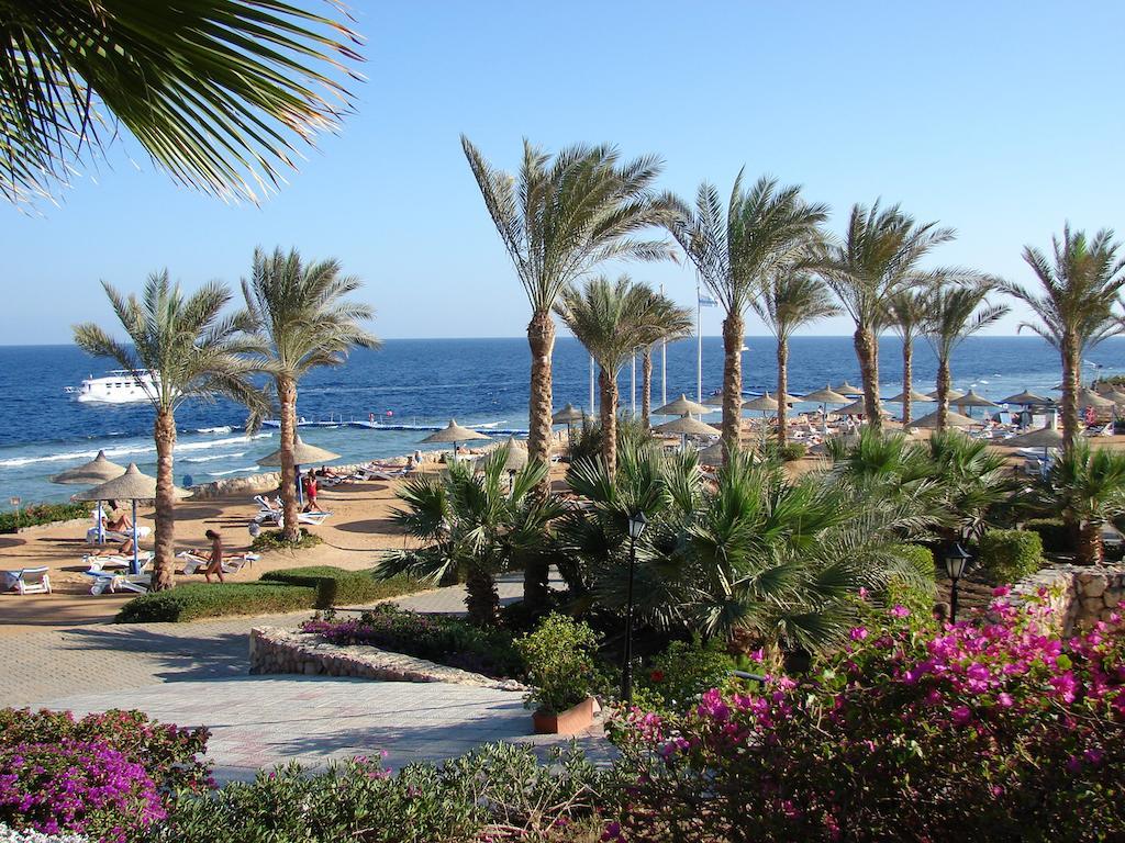 Queen Sharm Aqua Park Hotel Esterno foto